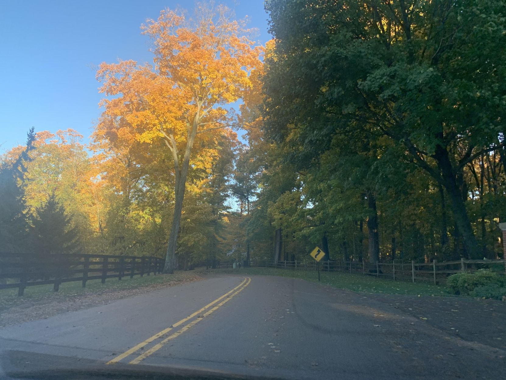Snake Road fall colors